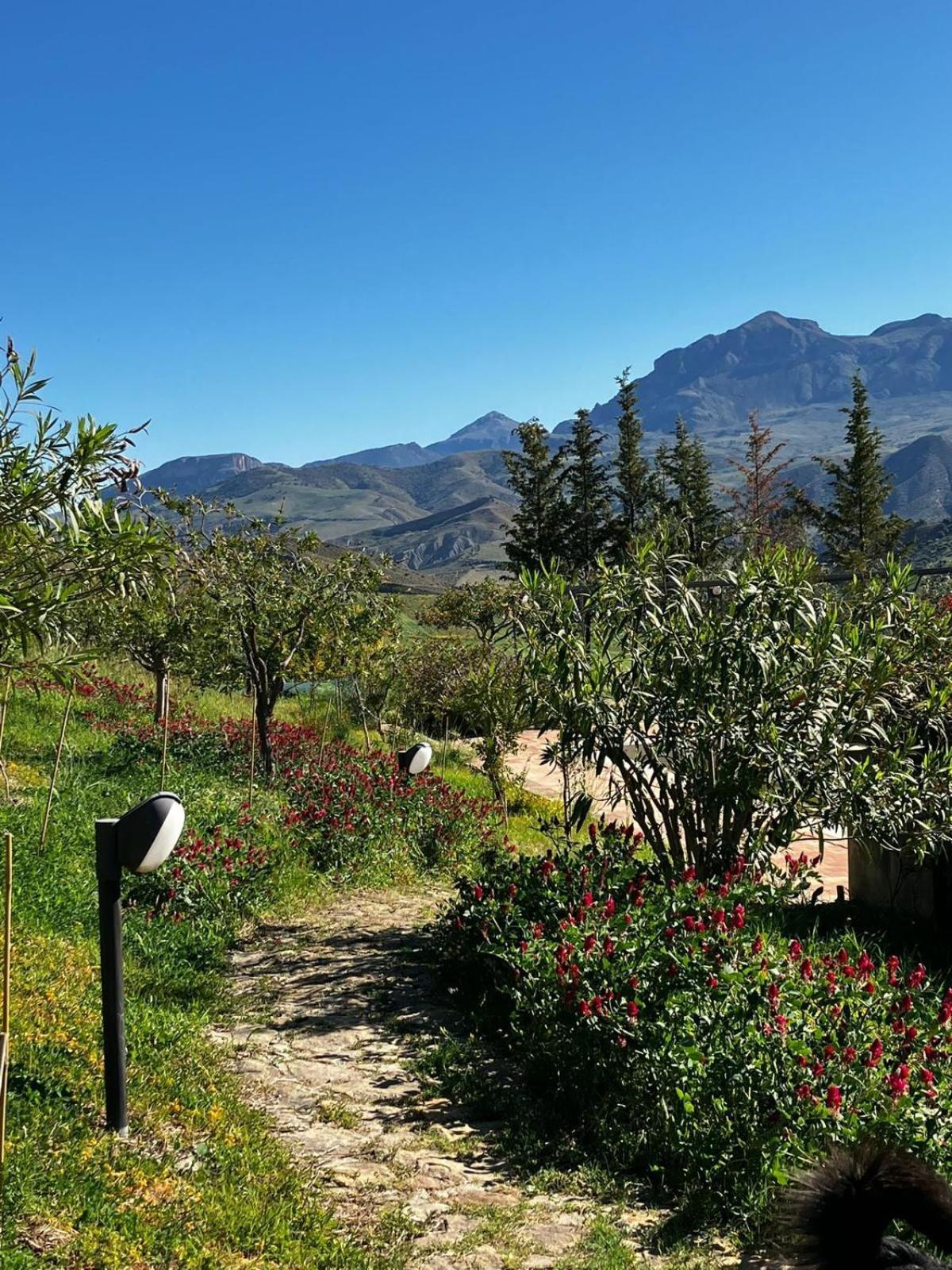 Le Case Di Cardellino - Agrispa Sclafani ภายนอก รูปภาพ