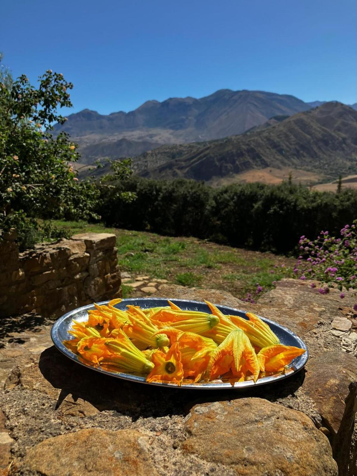 Le Case Di Cardellino - Agrispa Sclafani ภายนอก รูปภาพ